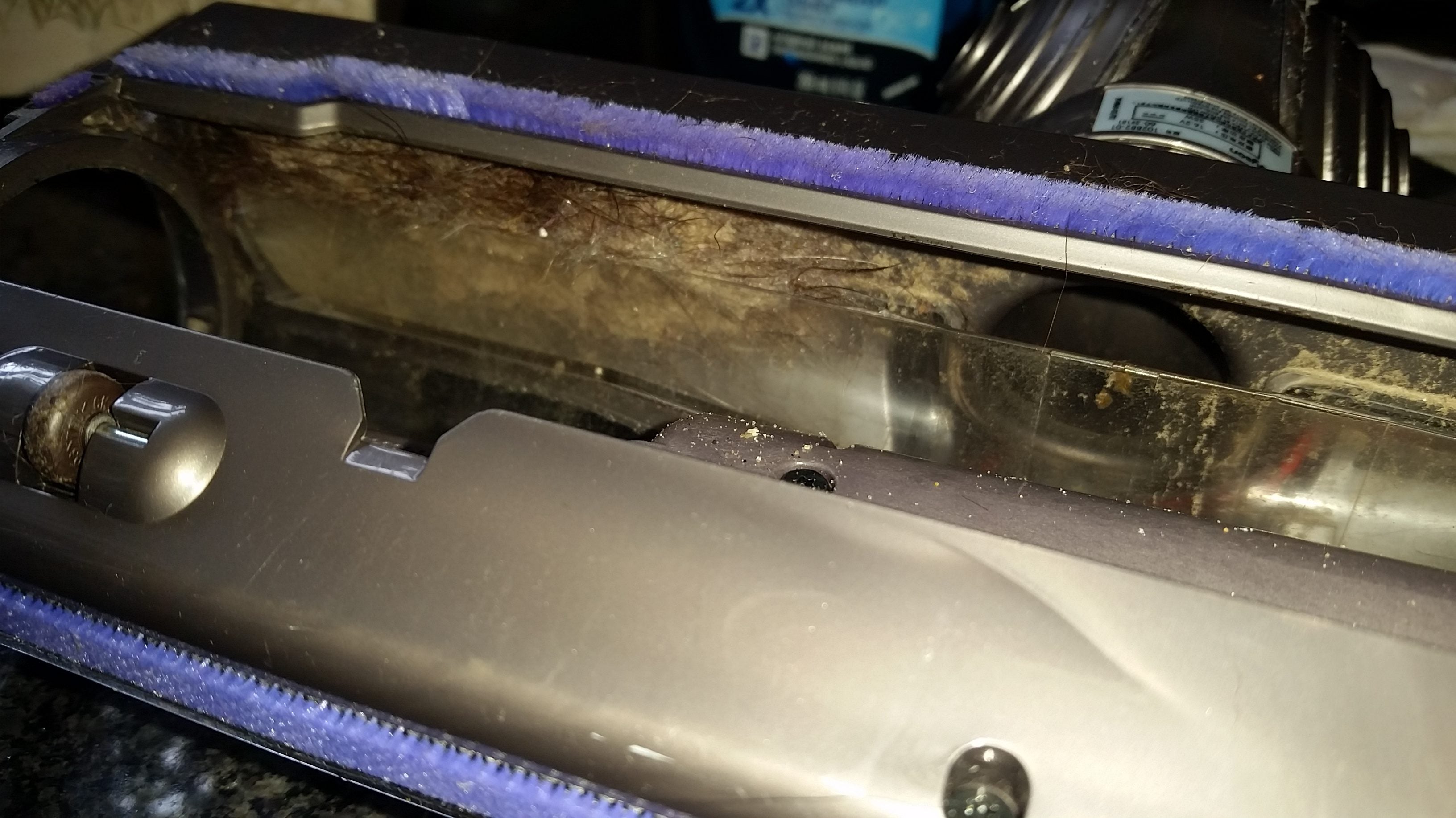 My Dyson V6 animal stinks! Forums