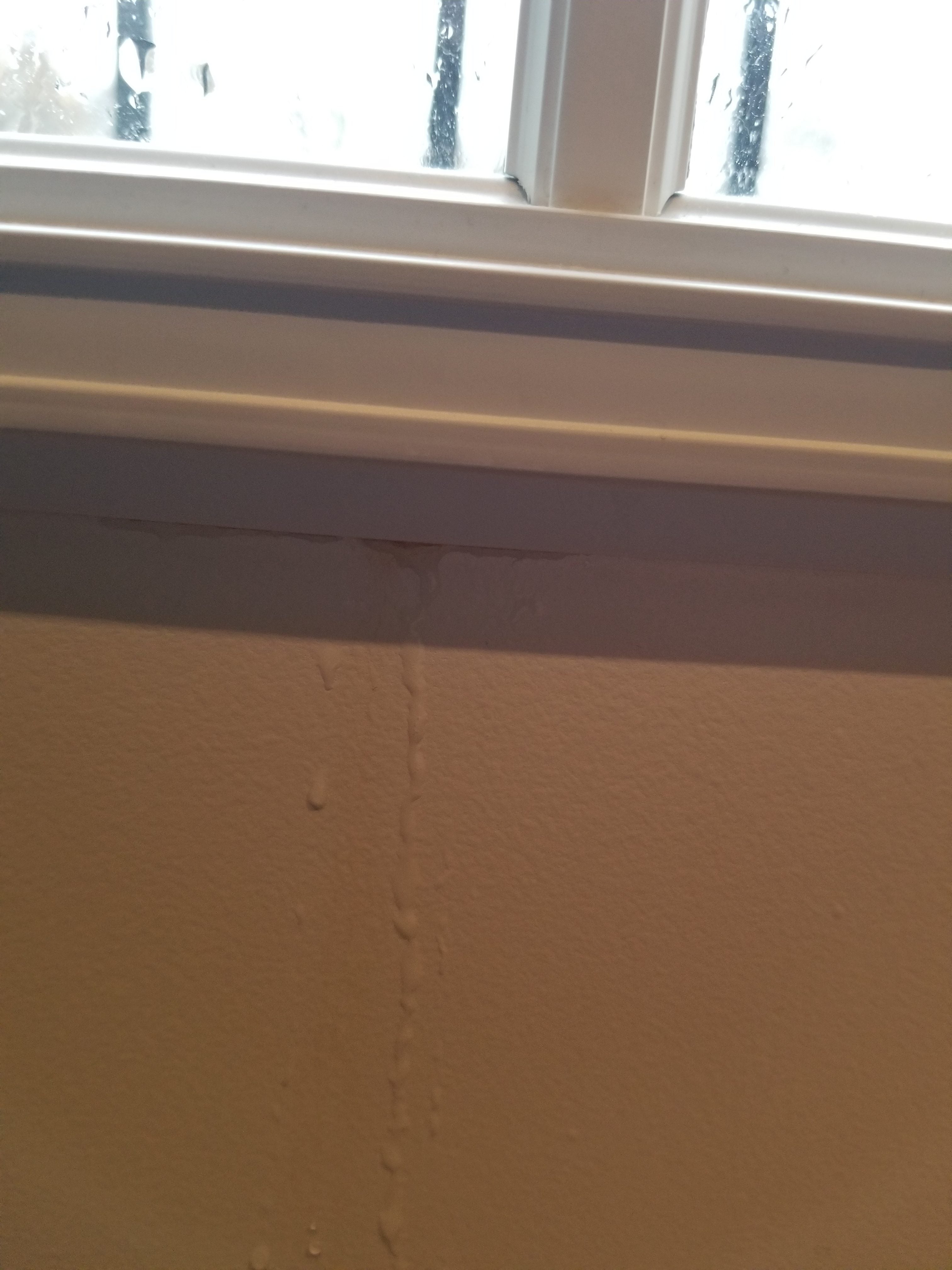 French doors with windows leaking from window [photos] RedFlagDeals