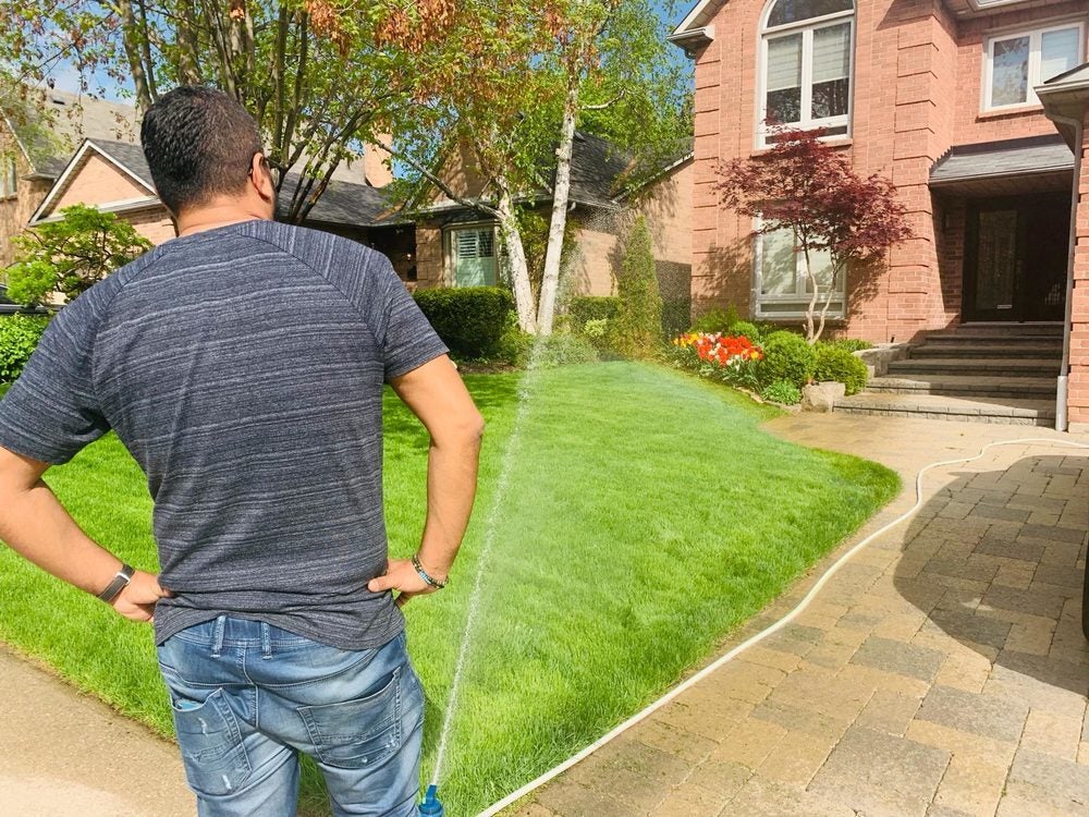 [Costco] CIL Coated Grass Seed 25Kg 99.99 Forums