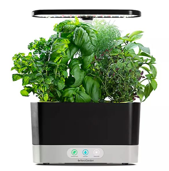 Bed Bath And Beyond Aerogarden Harvest With Gourmet Herb Seed Pod Kit 6 Herbs 96 Redflagdeals Com Forums - Indoor Herb Garden Kit Bed Bath And Beyond