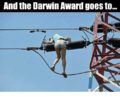 and-the-darwin-award-goes-to-7415329.png