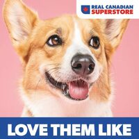 Real Canadian Superstore - Pets Book (ON) Flyer