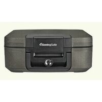 Sentrysafe Home Security Safes And Chests 