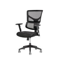 X-Chair Task Chair With Dynamic Variable Lumbar Support