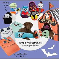 Toys & Accessories