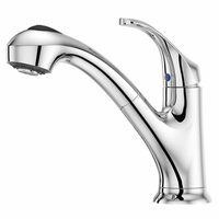 Shelton Pull-Out Kitchen Faucet 