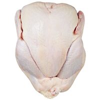 Fresh Grade A Turkey 