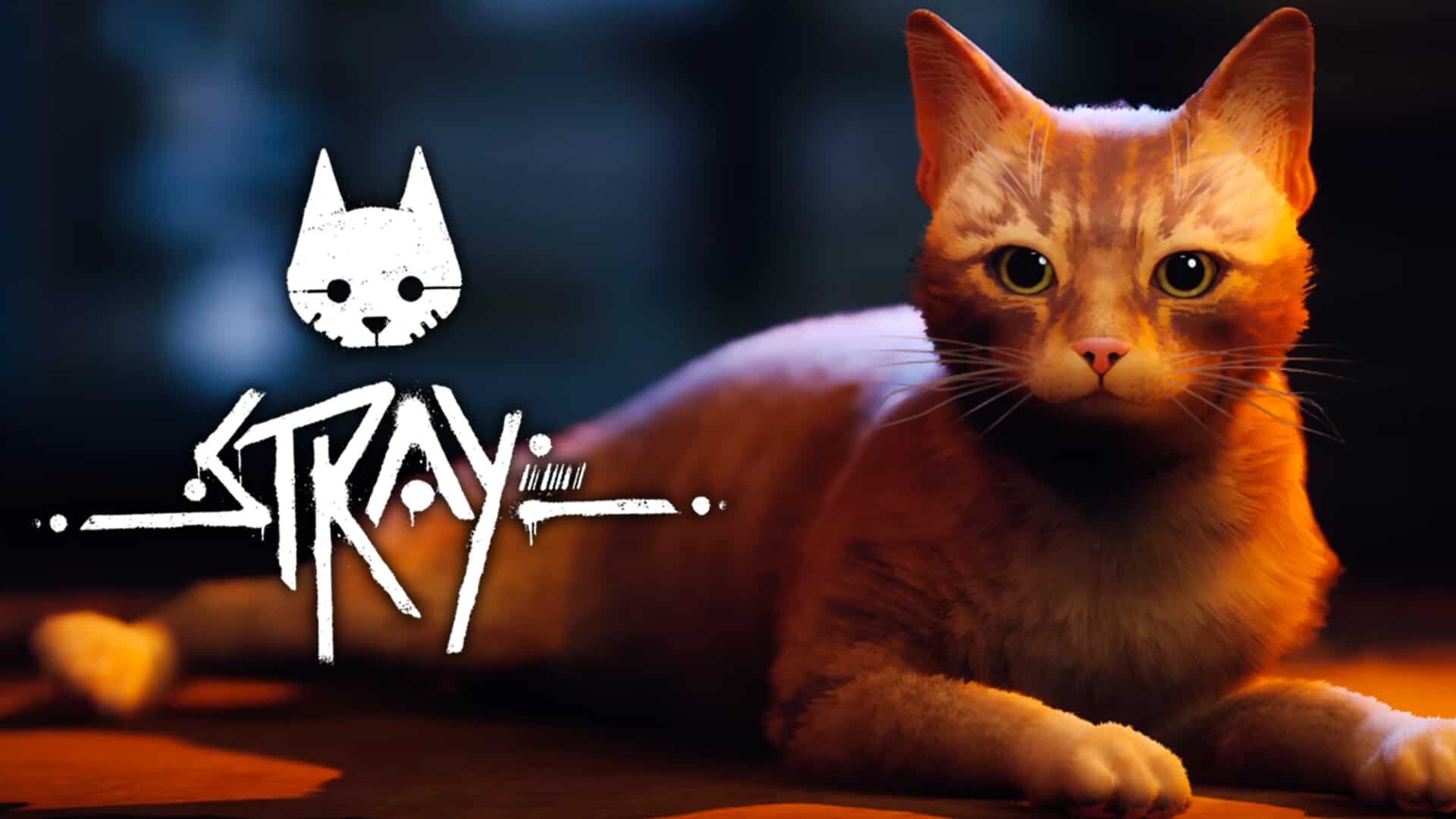 STRAY CAT on Steam