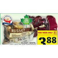 Russet, White, Yellow or Red Potatoes, Beets