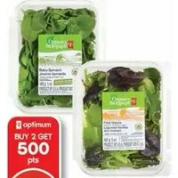 PC Organics Salad Greens