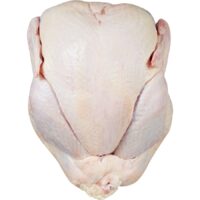 Fresh Grade A Turkey