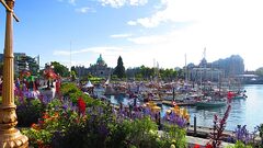 Toronto to Victoria, BC - $286 CAD roundtrip including taxes