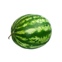 Large Seedless Watermelon