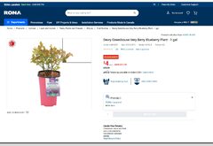 Blueberry, Strawberry, Blackberry or Raspberry bush $4 (Reg $16)