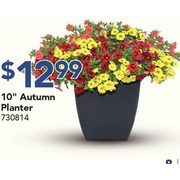 10" Autum Planter - $12.99