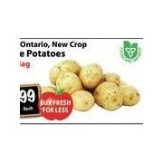 Fresh Ontario, New Crop White Potatoes - $2.99