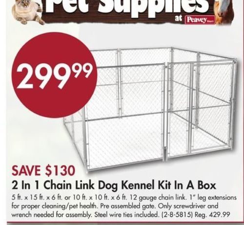 kitten suddenly peeing everywhere