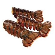 Atlantic Lobster Tails or Fresh Salmon or Steelhead Portions - $3.98