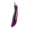 Long Eggplant or Papaya - $1.29/lb