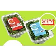 Compliments Baby Arugula, Spinach or Spring Mix - $2.99