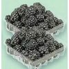 Blackberries - 2/$7.00