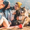 Gear Up for Adventure: Save on Camping Essentials at Amazon Canada
